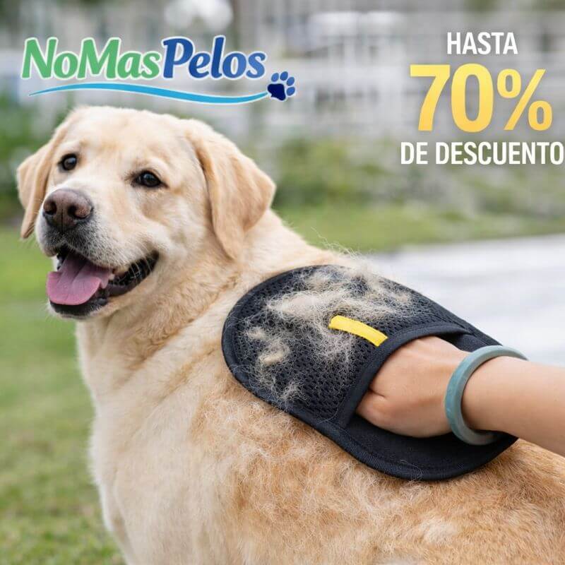 Guante Removedor de Pelo 2 en 1 - Negro