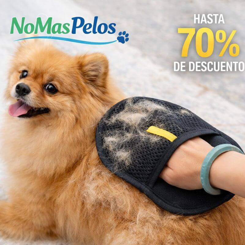 Guante Removedor de Pelo 2 en 1 - Negro