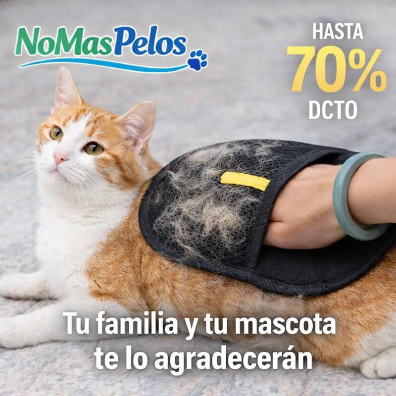 Guante Removedor de Pelo 2 en 1 - Negro